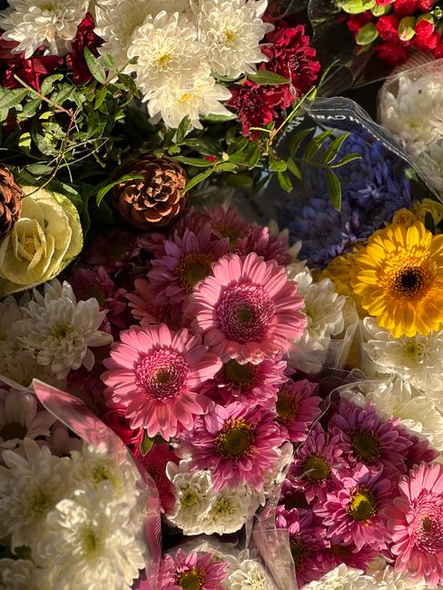 A vibrant assortment of fresh flowers including pink gerbera daisies, creamy white chrysanthemums, deep red carnations, yellow gerberas, and white roses, arranged together with lush green foliage and