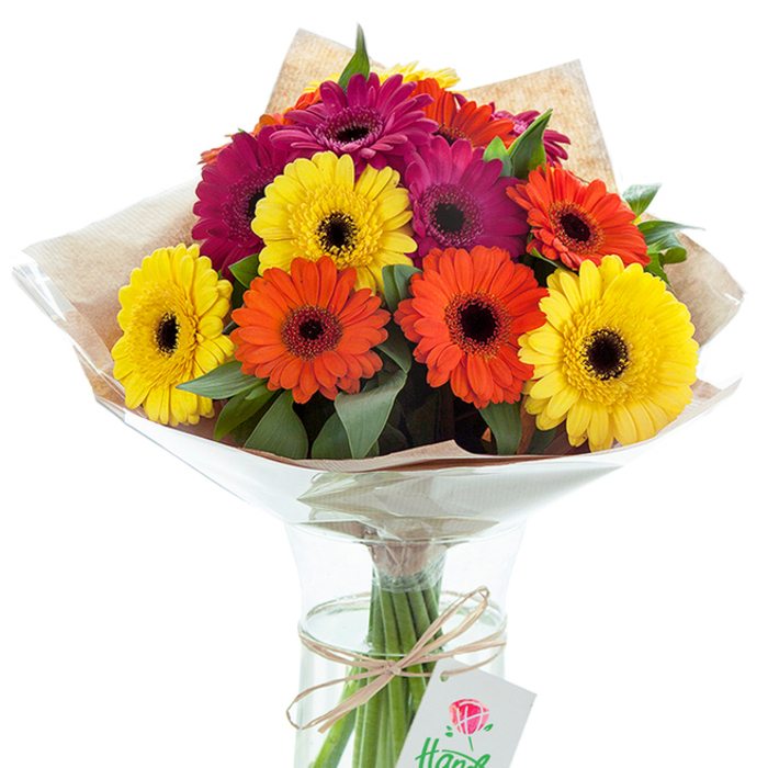 This exuberant bouquet of Gerbera daisies, arranged in a hand-tied style, stands out in a clear glass vase, its vivid mix of yellows, vibrant oranges, and intense magenta-pinks glowing like the morning sun over Mill Hill. Each bloom is meticulously placed, displaying its wide, flat petals and a near-black central disk that provides striking visual contrast and anchors the cluster's lively energy. Flecks of lush, green foliage are gently woven through the bouquet, their texture and depth evoking the verdant stretches of nearby Mill Hill Park. A sheath of rustic kraft paper encircles the blossoms, introducing a soft, organic note, while a second protective layer of transparent cellophane gently flares outward, ensuring both elegance and preservation. The lower stems appear through the vase's pure, water-filled body-a tangible sign of freshness and skilled preparation. Around the stems, a natural raffia bow is tied with deliberate simplicity, its gentle hue echoing the earthy paths that wind through the local area. Hanging from the bow is a small, white gift tag featuring a stylized red rose, hinting at the handmade expertise that local florists in Mill Hill pride themselves on. The bouquet's harmonious blend of colours and textures conjures feelings of jubilation, making it an exceptional choice for birthdays, anniversaries, or welcoming a new neighbour. The overall presentation is one of joyful abundance, local artistry, and the subtle refinement found in the best Mill Hill flower arrangements.