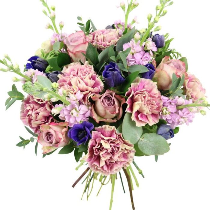 An opulent, hand-tied floral bouquet is shown against a pure white background, allowing every colour and petal to take centre stage. At its heart sit generous garden roses in varying tones of blush pink, dusty rose, and muted mauve, their layered, spiralling petals forming a romantic, almost vintage focal point. Interlaced around them are abundant frilled carnations, whose ruffled blooms blend creamy beige and pale blush at their centres, gradually deepening into rosy, plum-pink edges that add volume and an intricate, lace-like texture. Through these soft hues, rich accents of deep indigo and royal blue flowers appear, some as closed, tulip-shaped buds and one as a fully open anemone with a dramatic, dark central eye, providing a bold counterpoint much like the contrast between Mill Hill's leafy lanes and the bustle of nearby London. Slender spires of lilac and pale lavender stock rise gracefully from within the bouquet, their small, densely clustered blossoms introducing delicate vertical lines and a whisper of country-garden charm. Surrounding this tapestry of blooms is an abundance of foliage: glossy dark green leaves and distinctive, rounded silvery-green eucalyptus that add a cool, aromatic softness. The stems are neatly gathered and visible at the base, clearly hand-tied, suggesting a bouquet freshly prepared in a local Mill Hill flower shop and ready for prompt delivery to homes near Mill Hill East or along Flower Lane. The overall palette of pinks, purples, blues, and greens, combined with the lush textures, evokes elegance, warmth, and quiet celebration-perfect for weddings, anniversaries, milestone birthdays, or simply bringing a touch of refined beauty into a Mill Hill living room.